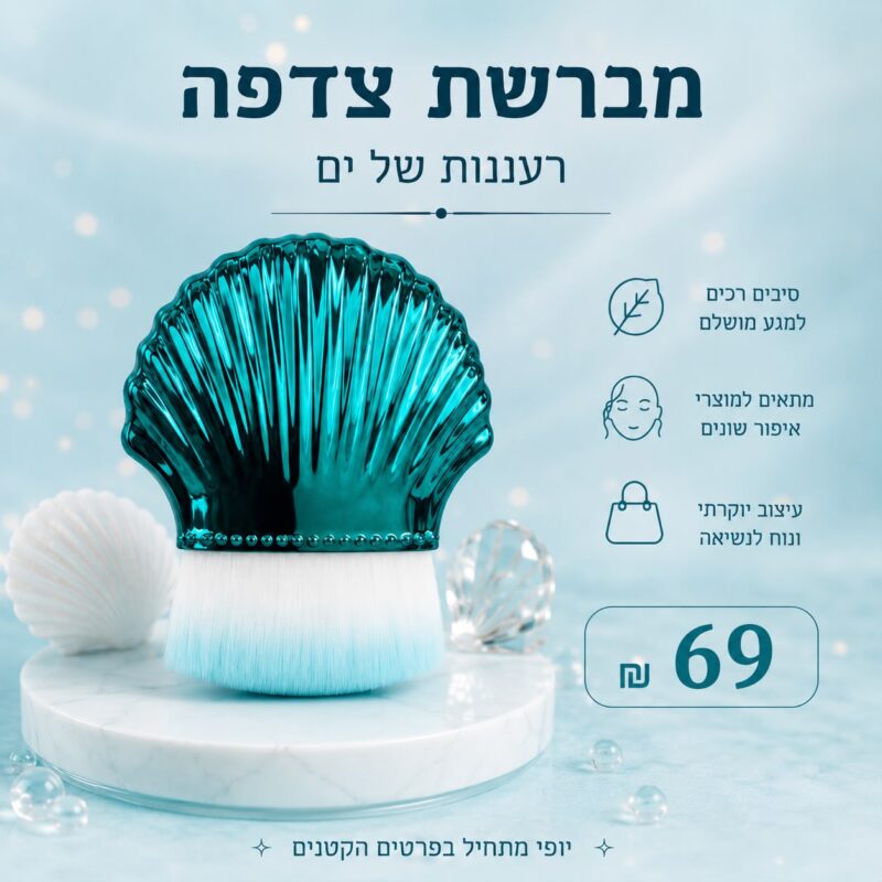 מברשת צדפה
